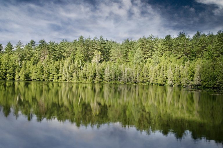Eine Investition in Holz ist durchaus eine Überlegung Wert
